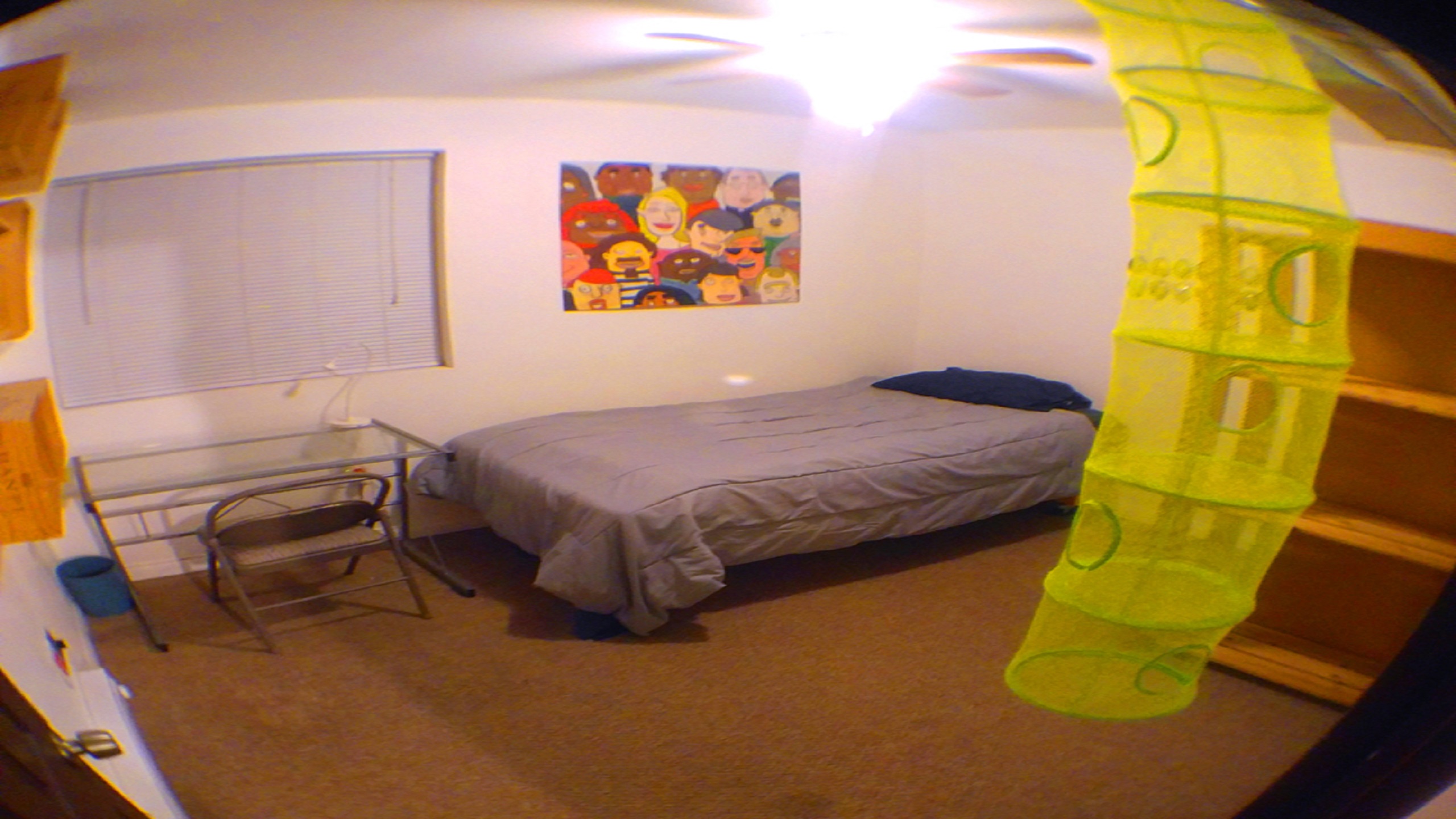 FM0   FC111111101:zzzzzz0 9180 078043874441663838014c0 bac  f157 1ca   0139 1db   011b161013a7 fd15a212e3127157b12d4130163a1429139166e148d14216a914f7139168814fa